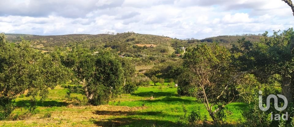 Terrain à Barão de São Miguel de 14 840 m²