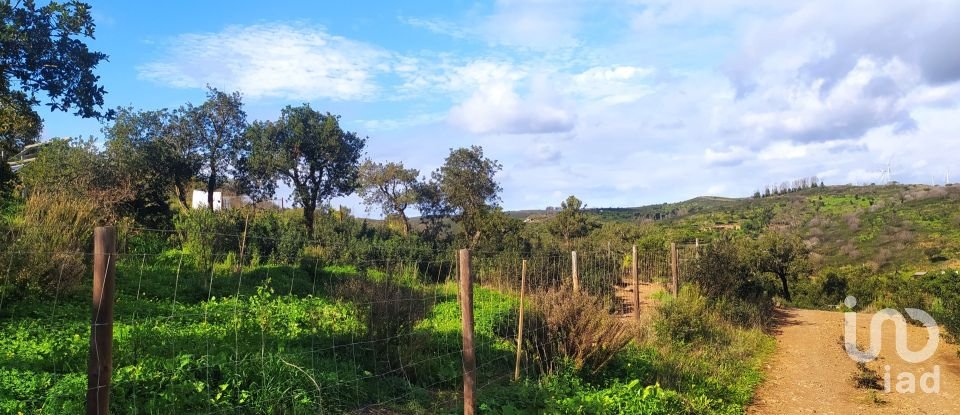 Terrain à Barão de São Miguel de 14 840 m²