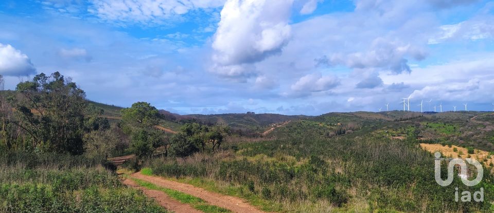 Terrain à Barão de São Miguel de 14 840 m²