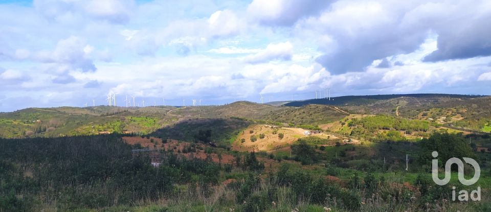 Terrain à Barão de São Miguel de 14 840 m²