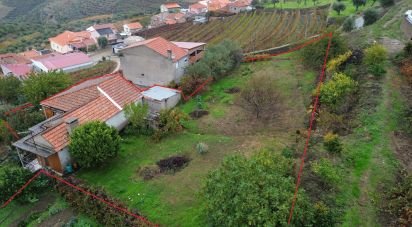 Casa / Villa T3 em Soutelo do Douro de 262 m²