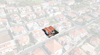 House T4 in Funchal (Santa Maria Maior) of 317 m²