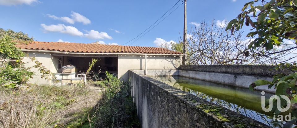 House T0 in Azambujeira e Malaqueijo of 180 m²