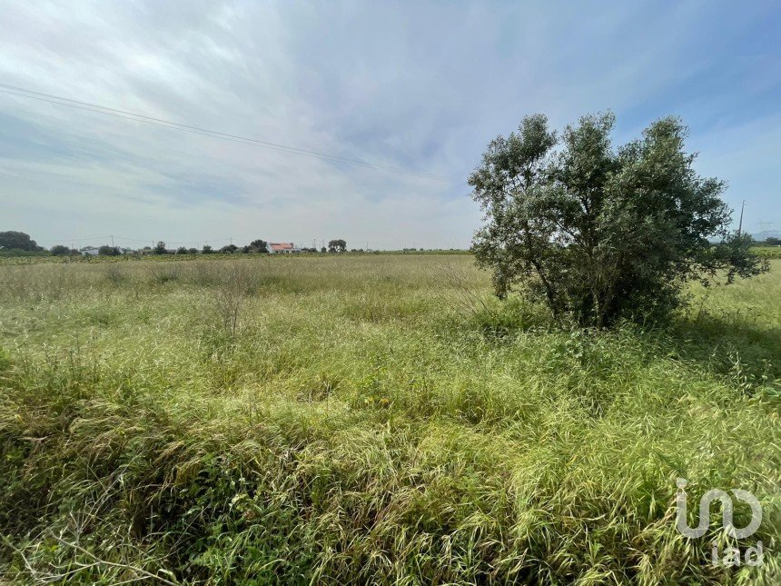 Land in Pinhal Novo of 6,741 m²