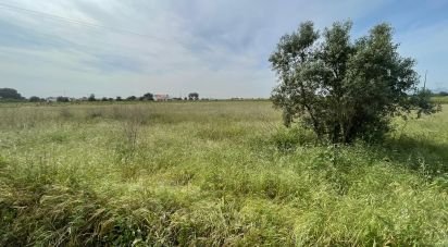 Land in Pinhal Novo of 6,741 m²