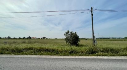 Land in Pinhal Novo of 6,741 m²