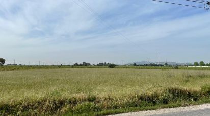 Land in Pinhal Novo of 6,741 m²