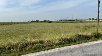 Land in Pinhal Novo of 6,741 m²