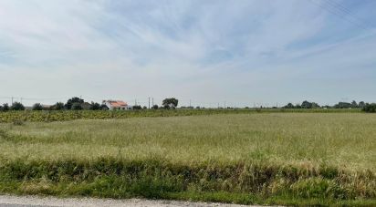 Land in Pinhal Novo of 6,741 m²