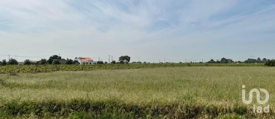 Land in Pinhal Novo of 6,741 m²