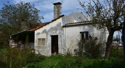 Village house T4 in Freixianda, Ribeira do Fárrio e Formigais of 104 m²