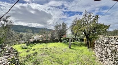 Casa de aldeia T0 em Cambra e Carvalhal de Vermilhas de 350 m²