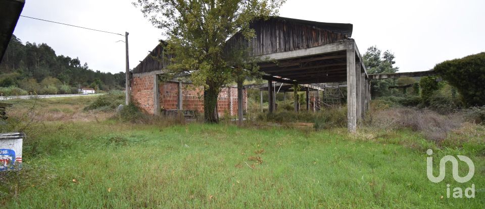 Terreno para construção em Miranda do Corvo de 6 504 m²