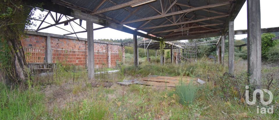 Terreno para construção em Miranda do Corvo de 6 504 m²