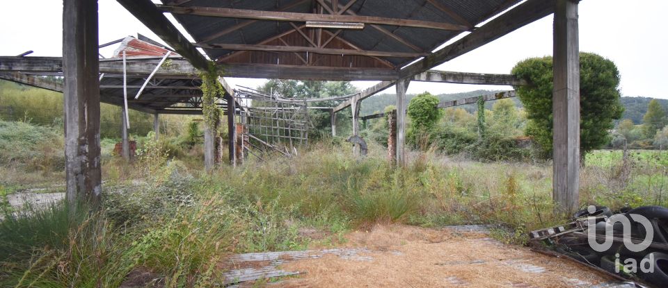 Terreno para construção em Miranda do Corvo de 6 504 m²