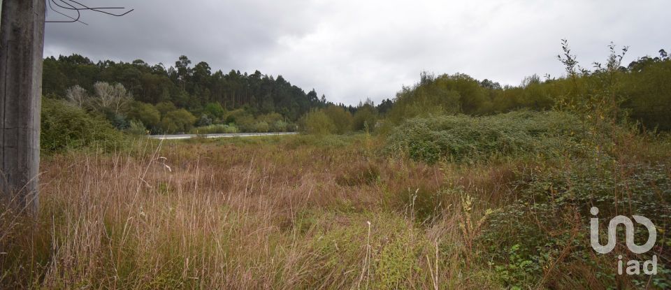 Terreno para construção em Miranda do Corvo de 6 504 m²