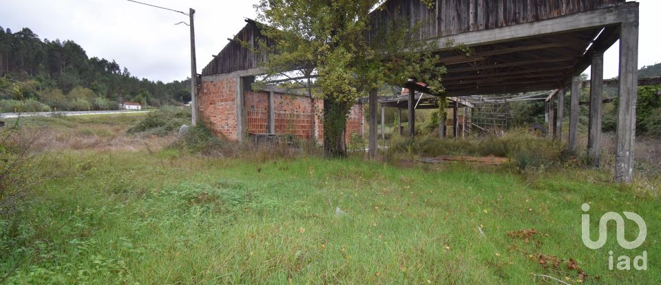 Terreno para construção em Miranda do Corvo de 6 504 m²