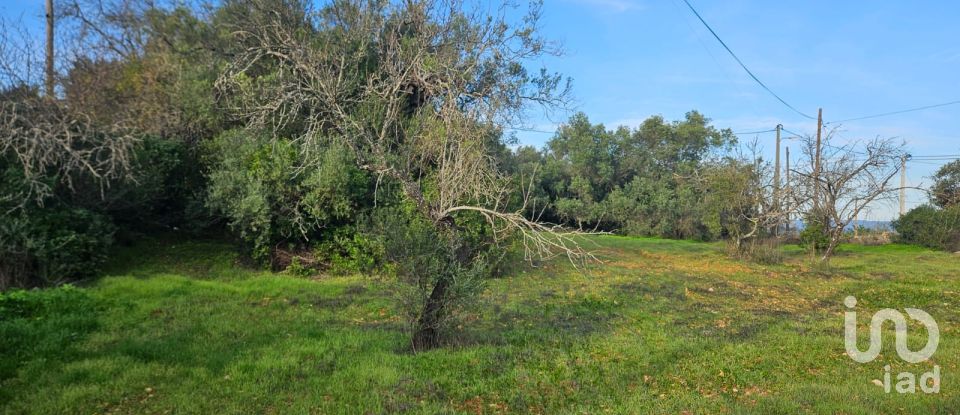 Land in Loulé (São Sebastião) of 1,028 m²