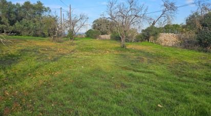 Terreno em Loulé (São Sebastião) de 1 028 m²