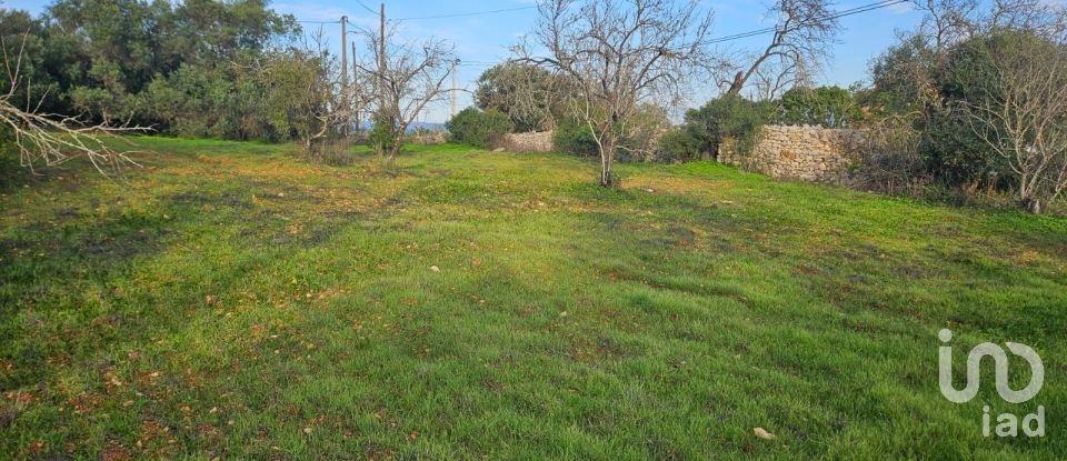 Land in Loulé (São Sebastião) of 1,028 m²