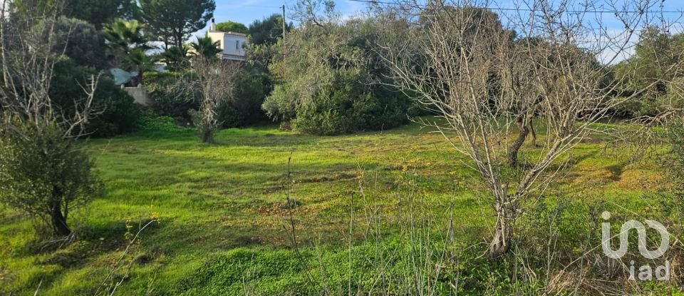 Land in Loulé (São Sebastião) of 1,028 m²