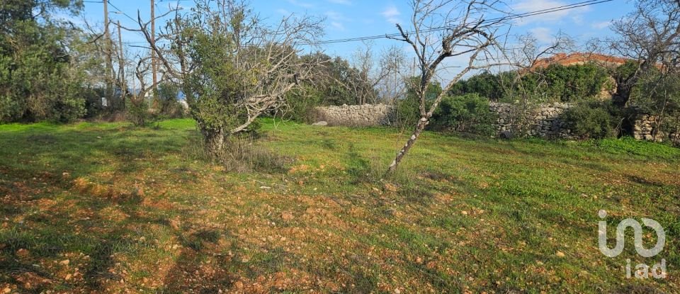 Land in Loulé (São Sebastião) of 1,028 m²