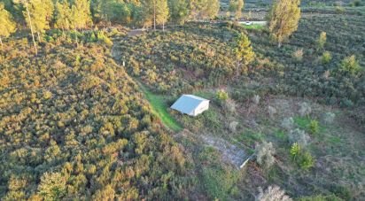 Terreno Agrícola em Paranhos de 20 850 m²