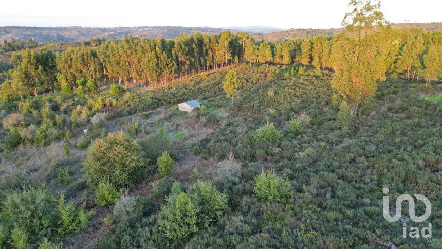 Terreno Agrícola em Paranhos de 20 850 m²