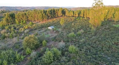 Terreno Agrícola em Paranhos de 20 850 m²