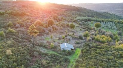 Terreno Agrícola em Paranhos de 20 850 m²