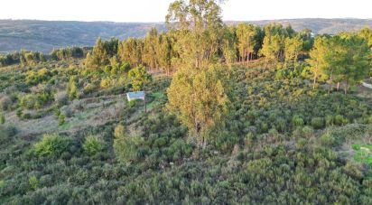 Terreno Agrícola em Paranhos de 20 850 m²