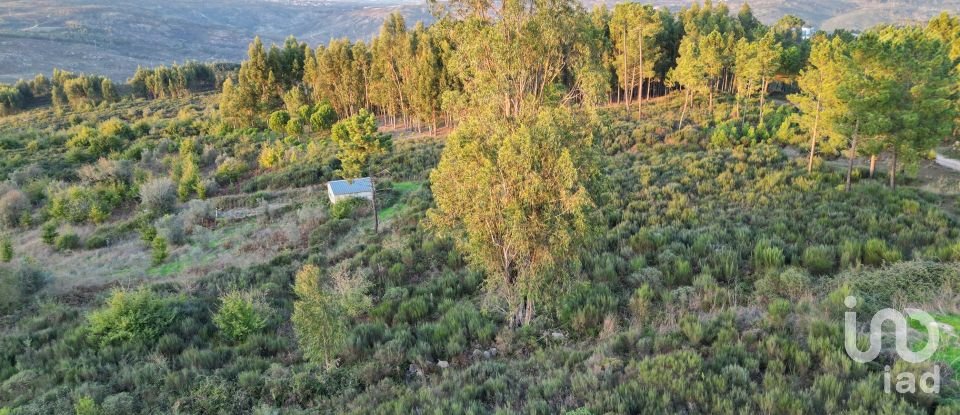 Terreno Agrícola em Paranhos de 20 850 m²