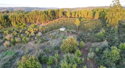 Terreno Agrícola em Paranhos de 20 850 m²