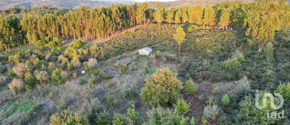 Terreno Agrícola em Paranhos de 20 850 m²