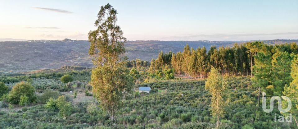 Terreno Agrícola em Paranhos de 20 850 m²