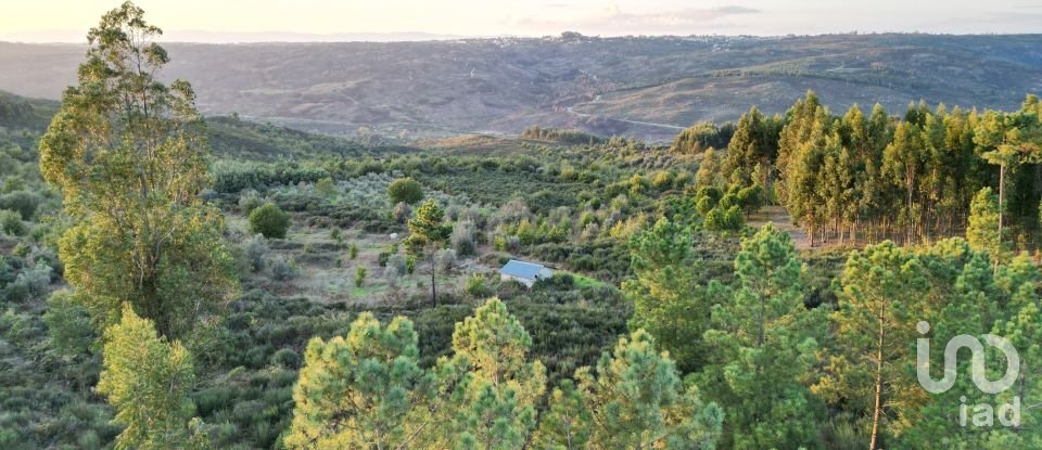 Terreno Agrícola em Paranhos de 20 850 m²