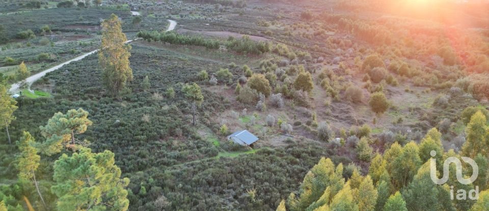 Terreno Agrícola em Paranhos de 20 850 m²