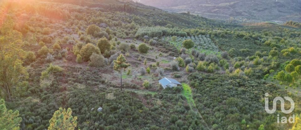 Terreno Agrícola em Paranhos de 20 850 m²