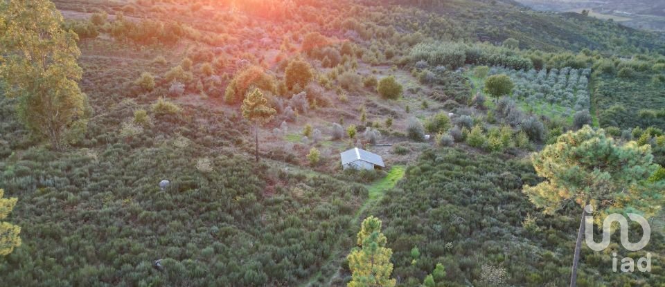 Terreno Agrícola em Paranhos de 20 850 m²