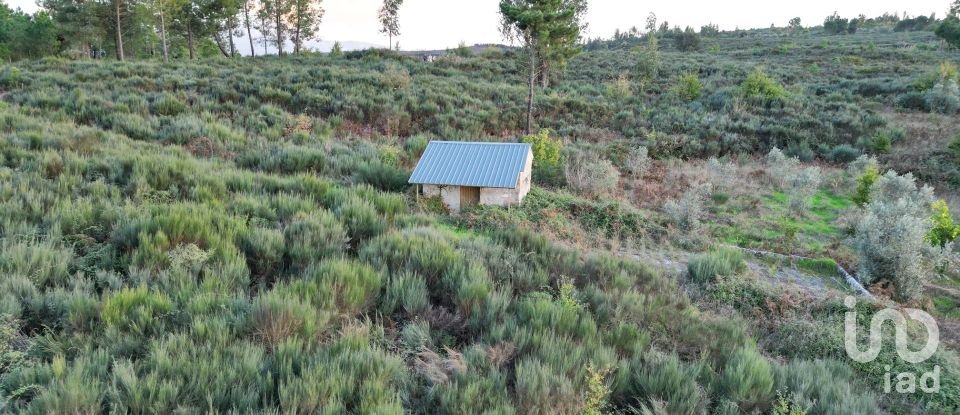 Terreno Agrícola em Paranhos de 20 850 m²