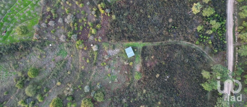 Terreno Agrícola em Paranhos de 20 850 m²