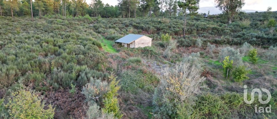 Terreno Agrícola em Paranhos de 20 850 m²