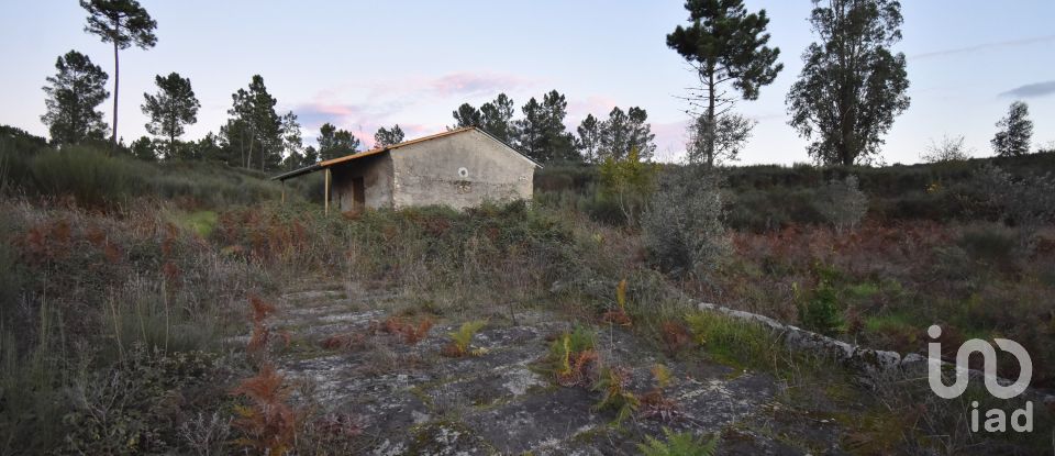 Terreno Agrícola em Paranhos de 20 850 m²