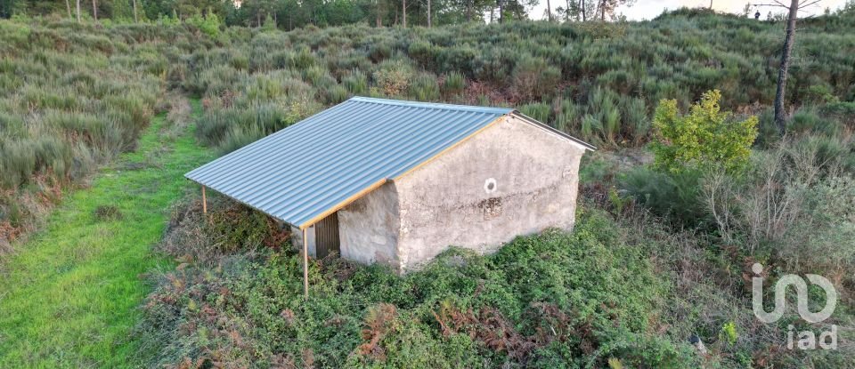 Terreno Agrícola em Paranhos de 20 850 m²