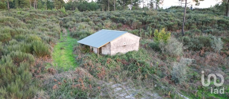 Terreno Agrícola em Paranhos de 20 850 m²