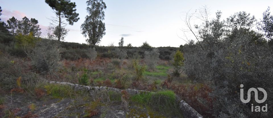 Terreno Agrícola em Paranhos de 20 850 m²