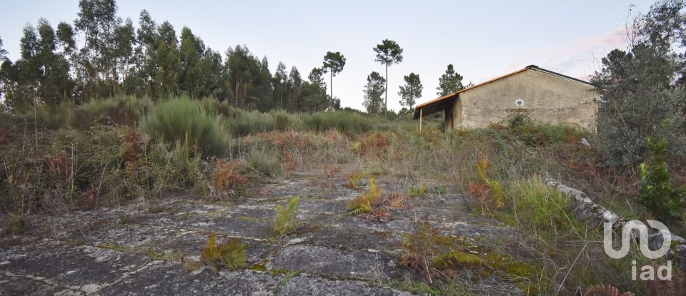 Terreno Agrícola em Paranhos de 20 850 m²