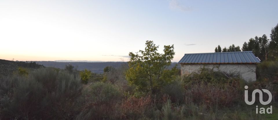 Terreno Agrícola em Paranhos de 20 850 m²