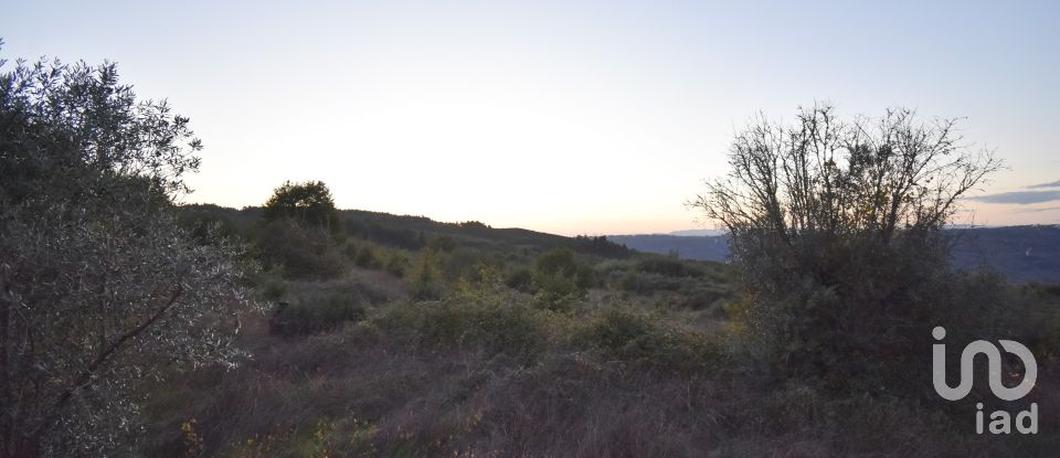 Terreno Agrícola em Paranhos de 20 850 m²