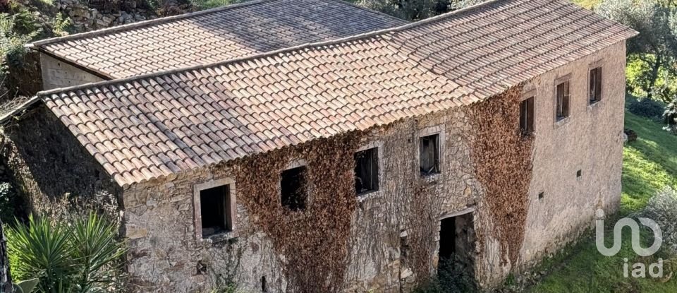 Maison T3 à Figueiró dos Vinhos e Bairradas de 266 m²